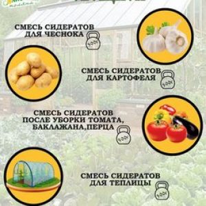Набор сидератов ОВОЩНОЙ №1
