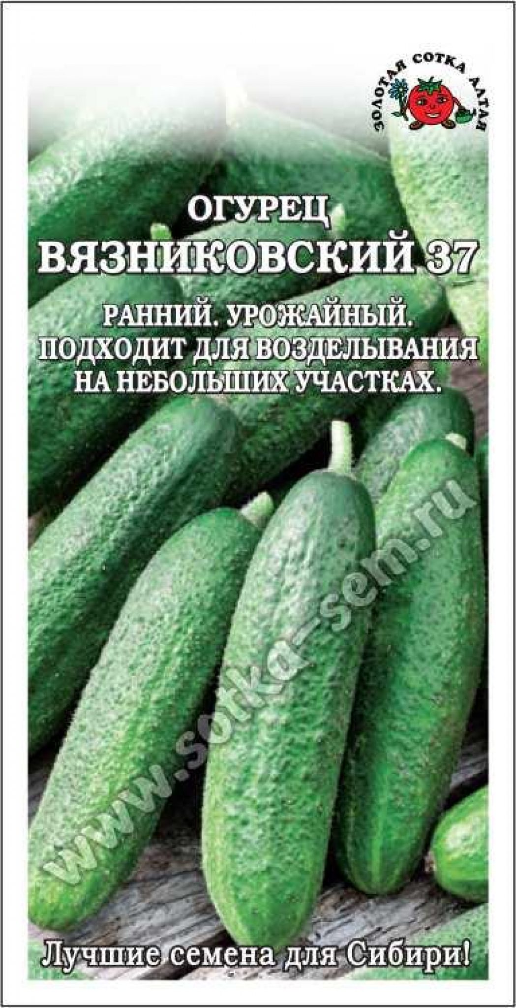 Огурец Вязниковский 37