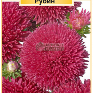 Астра «Джевел рубин» (0,1гр) кратно 10 шт