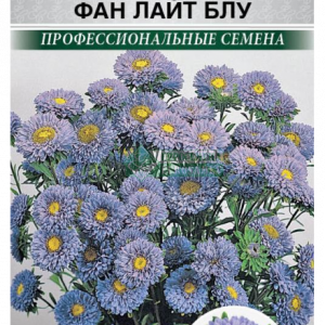 Астра китайская «Фан Лайт Блу» (10 шт) кратно 10 шт