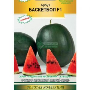 Арбуз Баскетбол F1 (5 шт)