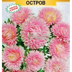 Астра кар. «Классик Коралловый остров» (0,1гр) кратно 10 шт