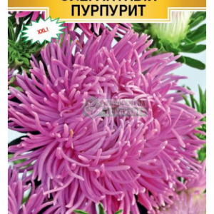 Астра «Элегантный Пурпурит» (0,1гр) кратно 10 шт