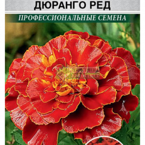 Бархатцы Дюранго Ред отклонен. (10 шт) кратно 10 шт