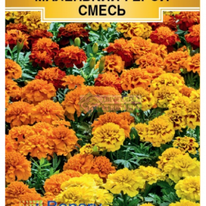 Бархатцы Маленький Герой смесь/отклонен.(10 шт) кратно 10 шт