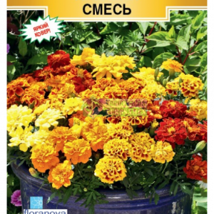 Бархатцы Алюмия смесь отклонен. (10 шт) кратно 10 шт