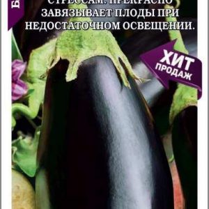 Баклажан Эпик F1 10шт