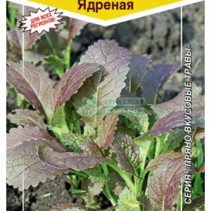 Горчица Ядреная салатная (1гр) ЕС кратно 10 шт