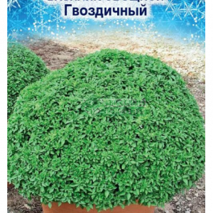 Базилик Гвоздичный овощной (0,3гр) кратно 10 шт