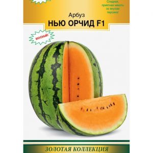 Арбуз НЬЮ ОРЧИД F1 сахарный (5 шт)