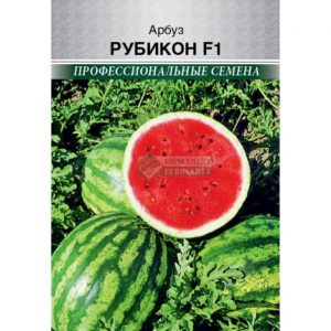 Арбуз РУБИКОН F1 (7 шт)
