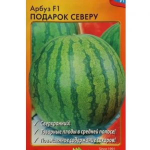 Арбуз Подарок северу НК ПРОФИ / 10шт