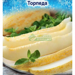 Дыня Торпеда (10 шт) ЕС. кратно 10 шт
