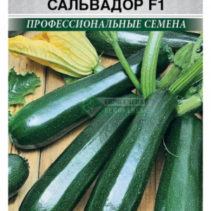Кабачок Сальвадор F1 (3шт) ЕС. кратно 10 шт