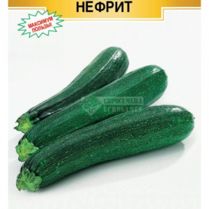 Кабачок Нефрит цуккини (5 шт) ЕС. кратно 10 шт