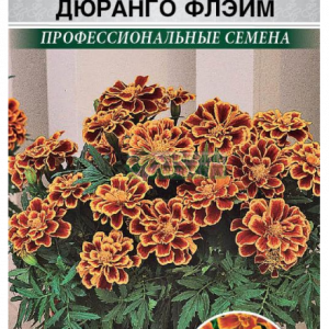 Бархатцы Дюранго Флэйм отклонен. (10 шт) кратно 10 шт