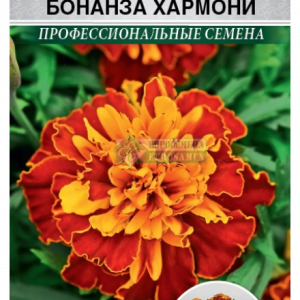 Бархатцы Бонанза Хармони отклонен.(10 шт) кратно 10 шт