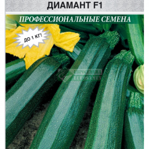 Кабачок Диамант F1 цуккини (5 шт) ЕС