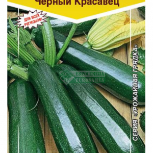 Кабачок Черный красавец (10шт) ЕС. кратно 10 шт