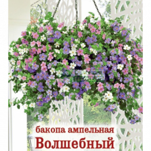 Бакопа ампельная «Волшебный Мир F1» (3 драже)