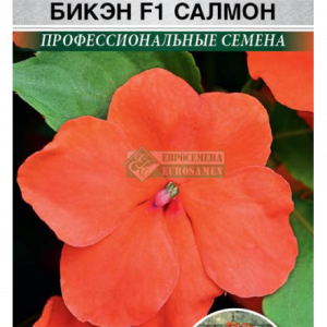 Бальзамин уоллера «Бикэн F1 Салмон» (5 шт) кратно 10 шт