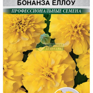 Бархатцы Бонанза Еллоу отклонен. (10 шт) кратно 10 шт
