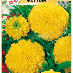 Бархатцы Антигуа желтый (10 шт) ЕС