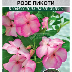 Бальзамин уоллера «Баланс Розе Пикоти» (5 шт) кратно 10 шт