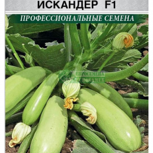 Кабачок Искандер F1 (5 шт) ЕС