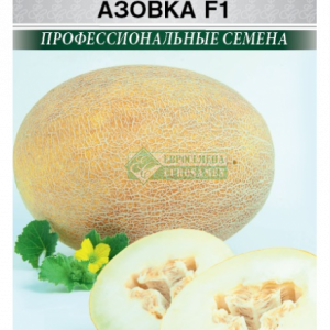 Дыня Азовка F1 (5 шт) ЕС