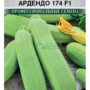 Кабачок Ардендо 174 F1 (3 шт) ЕС. кратно 10 шт