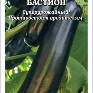 Баклажан Бастион F1 /Сотка/ 5 шт