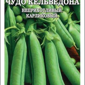 Горох Чудо Кельведона 10 гр
